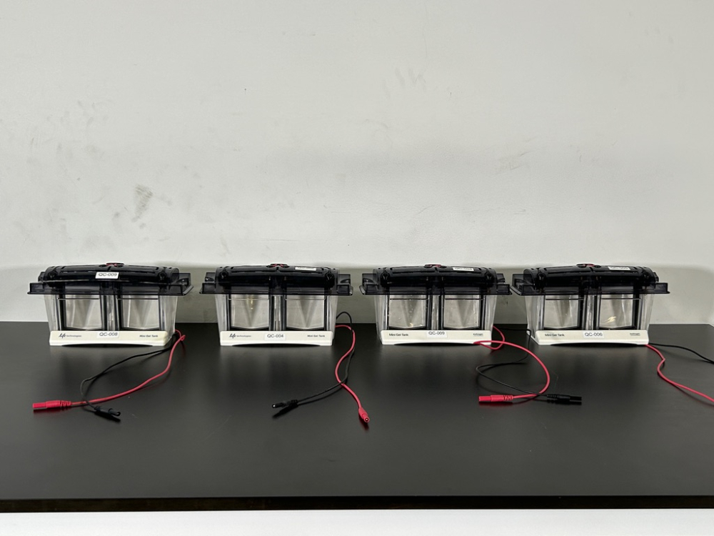 Image of Lot Of Mini Gel Tanks - Quantity 4